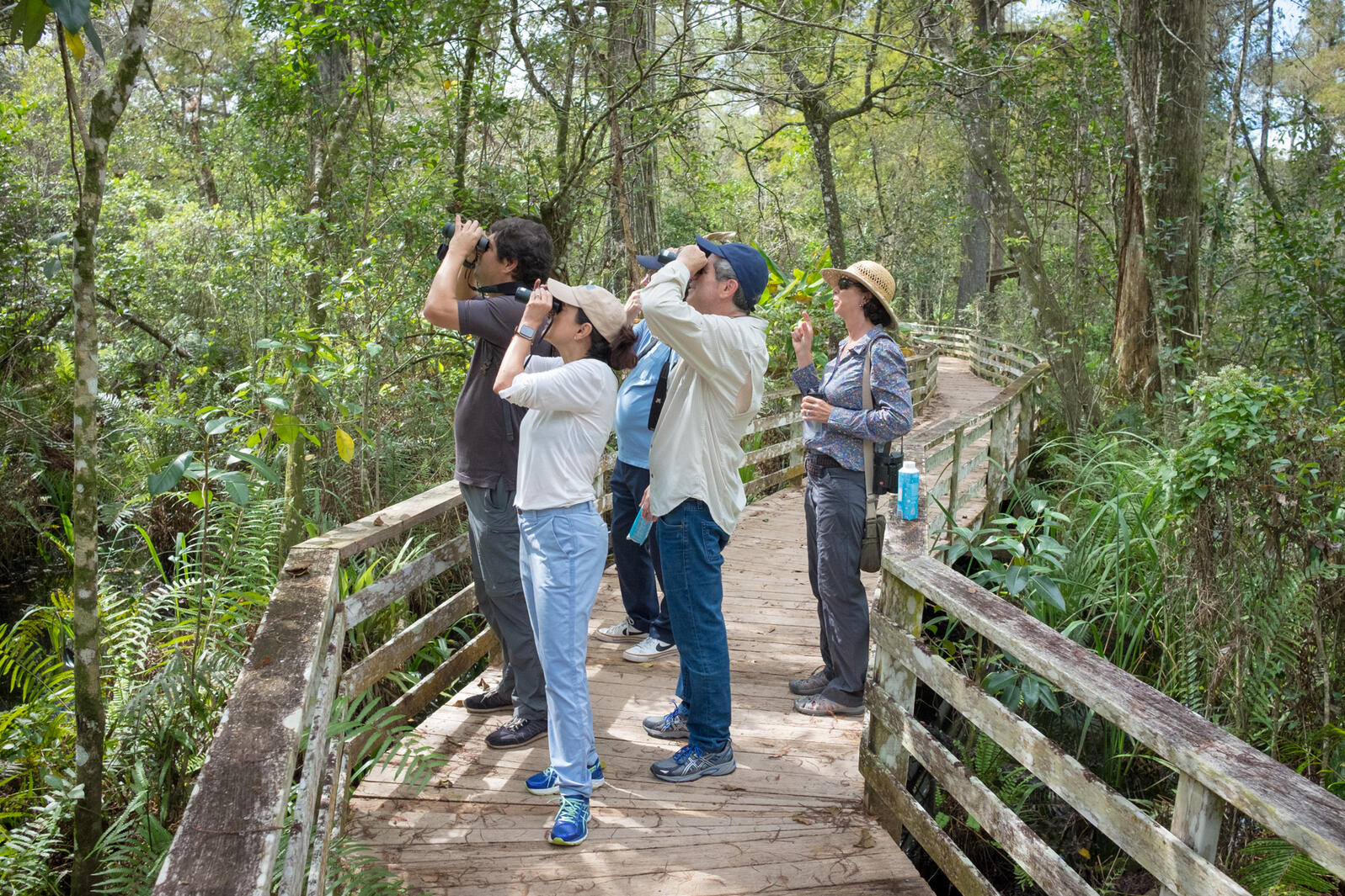 Audubon staff on the boardwalk.