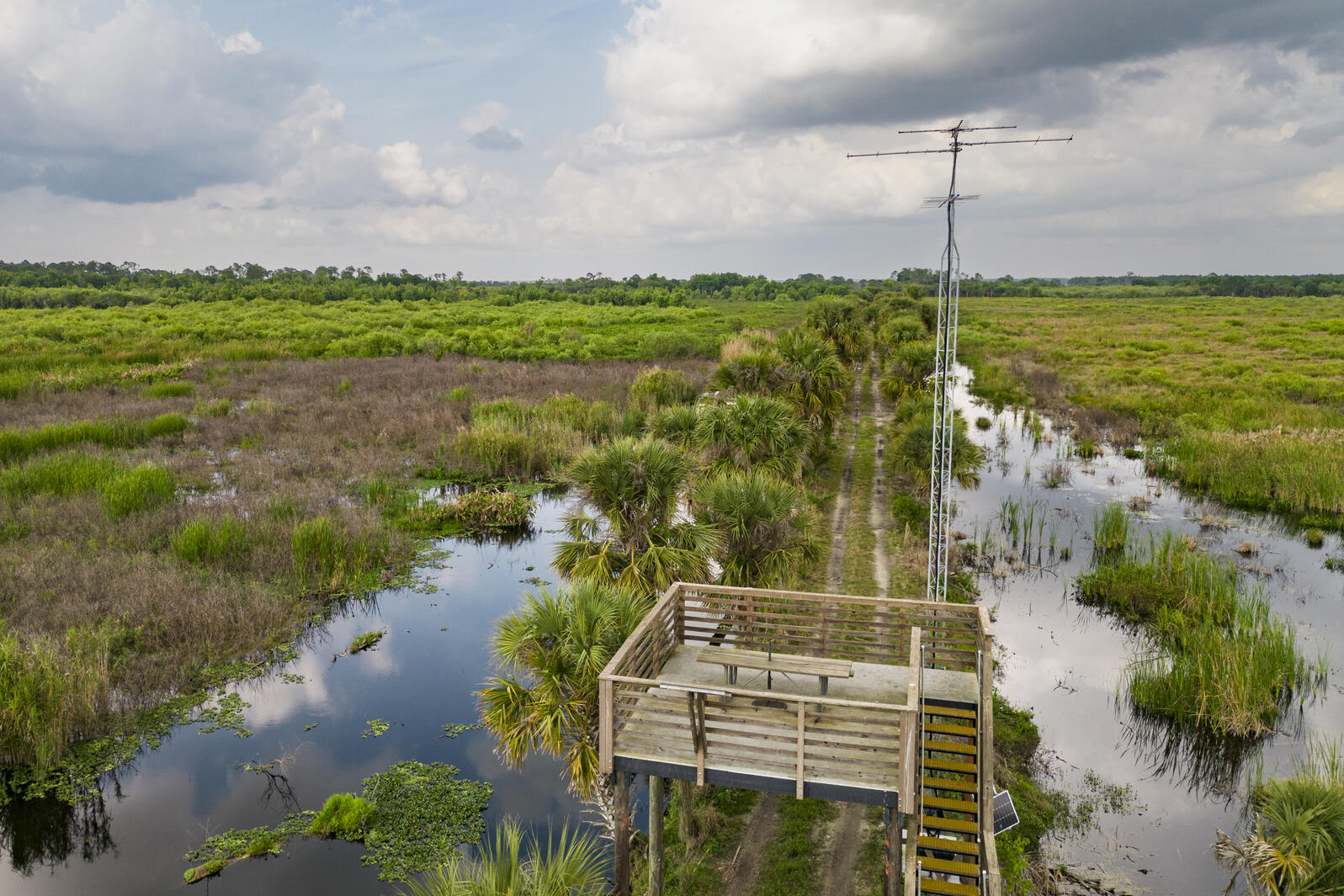 Aerial view of an elevated wooden structure with an antenna in a wetland