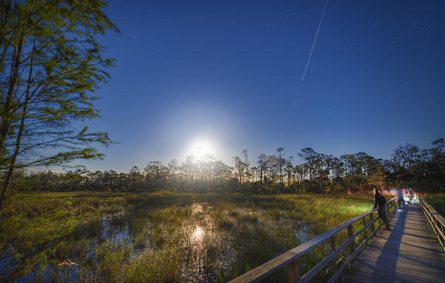 Moonlight on the Boardwalk