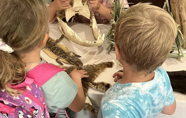 New! Children's Programs on Animal Adaptations