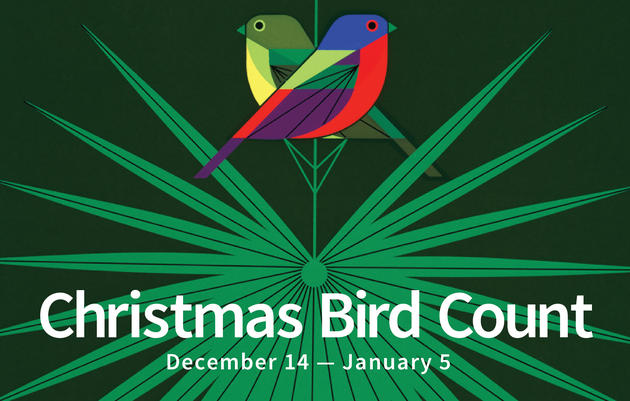 Audubon Christmas Bird Count at Corkscrew