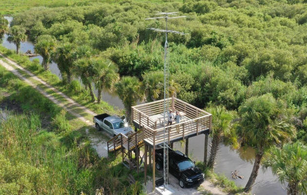 Bird Tracking Station Installed at Corkscrew Swamp Sanctuary