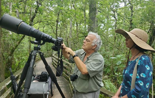 Mastering the Capture of the Super Ghost Orchid at Corkscrew Swamp Sanctuary 