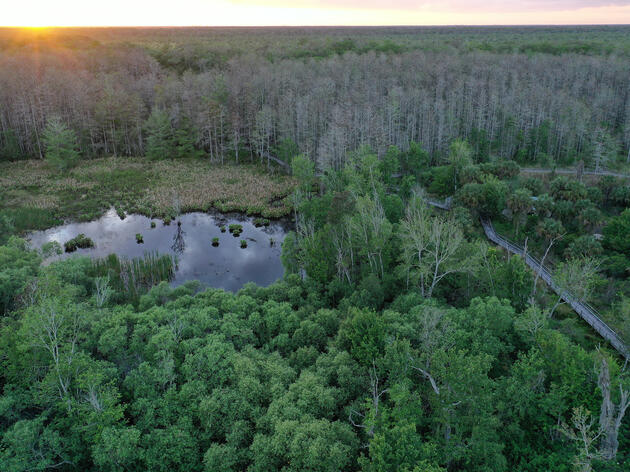 A Visionary Plan for Corkscrew Swamp Sanctuary