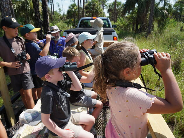 Corkscrew Swamp Sanctuary Wild Florida Adventure Camp 2024