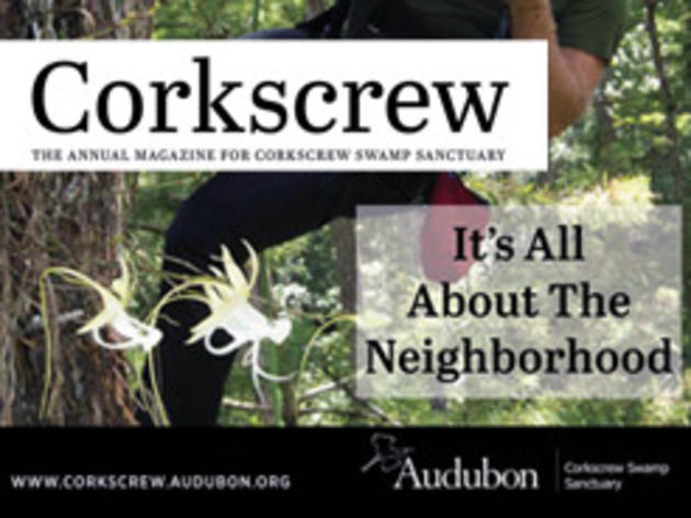 2020 Corkscrew Swamp Sanctuary Magazine