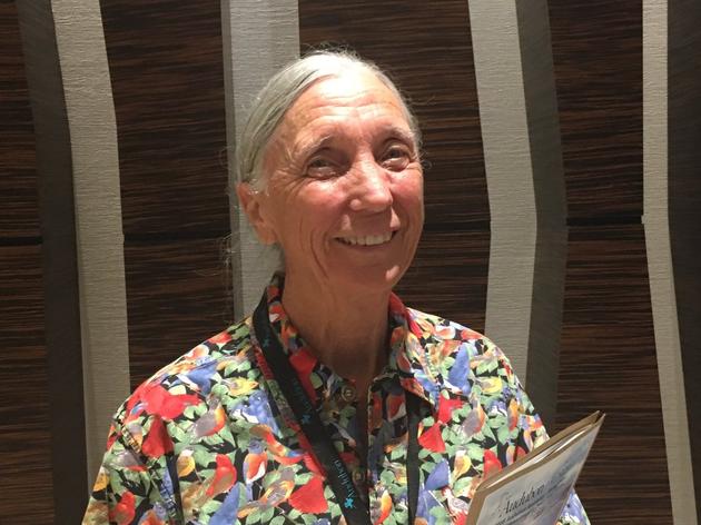 Corkscrew's Jean McCollom is Audubon Florida Volunteer of the Year