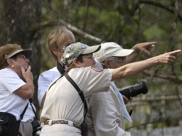 Introductory Guided Boardwalk Tours 