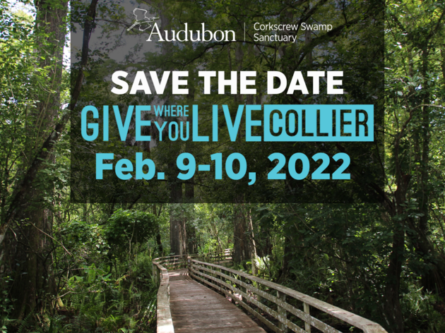 Give Where you Live Collier Day is Feb. 9-10, 2022