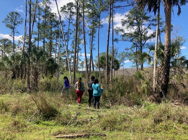  Student Groups Make a Difference at Corkscrew Swamp