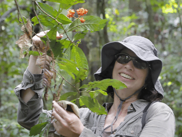 Meet Lisa Korte, Ph.D., Sanctuary Director, Corkscrew Swamp Sanctuary