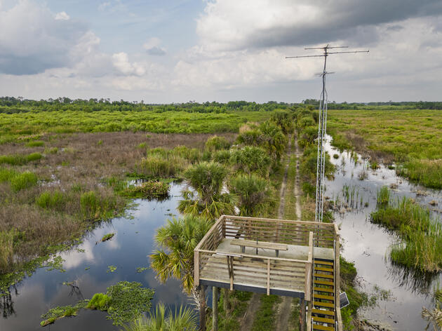 Corkscrew Swamp Sanctuary Hosts Annual Science Forum