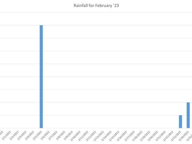 February 2023 Rainfall and Water Levels