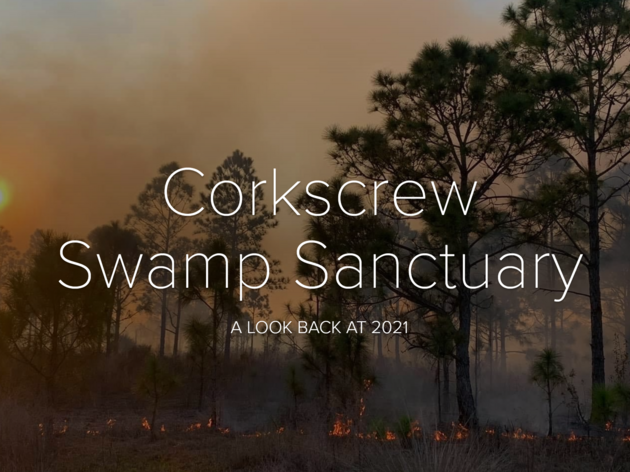 A Look Back at 2021 | Special Section: Prescribed Fire