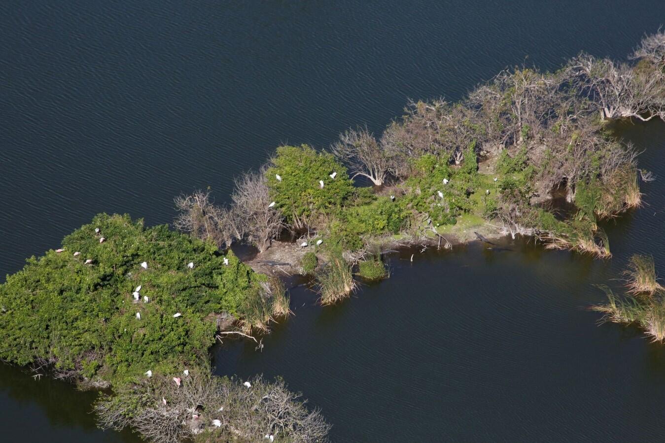Aerial of nesting island