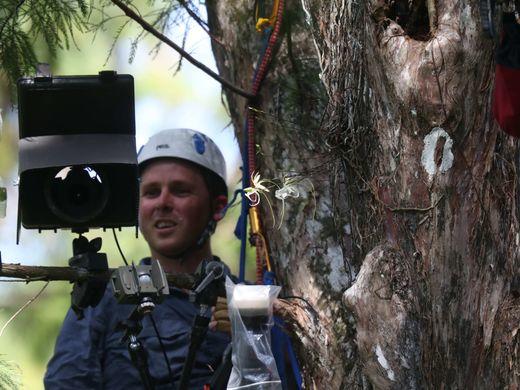 Mac Stone examines the camera in the Cypress Tree