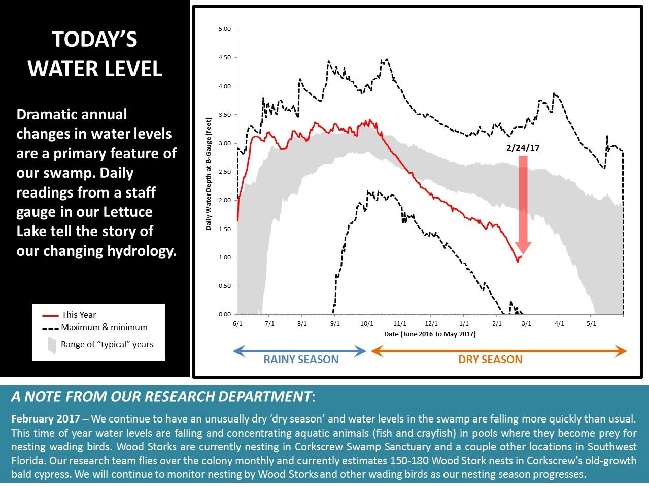 Water Levels Feb 2017