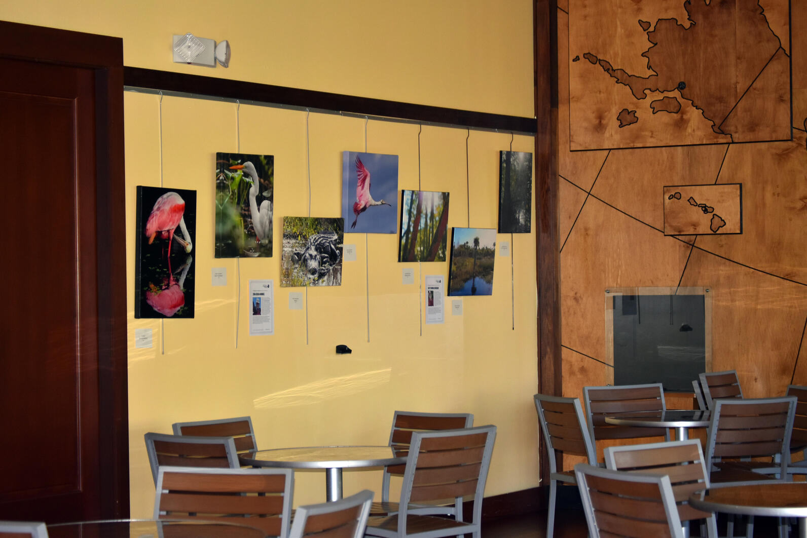Photos mounted on the wall in the cafe