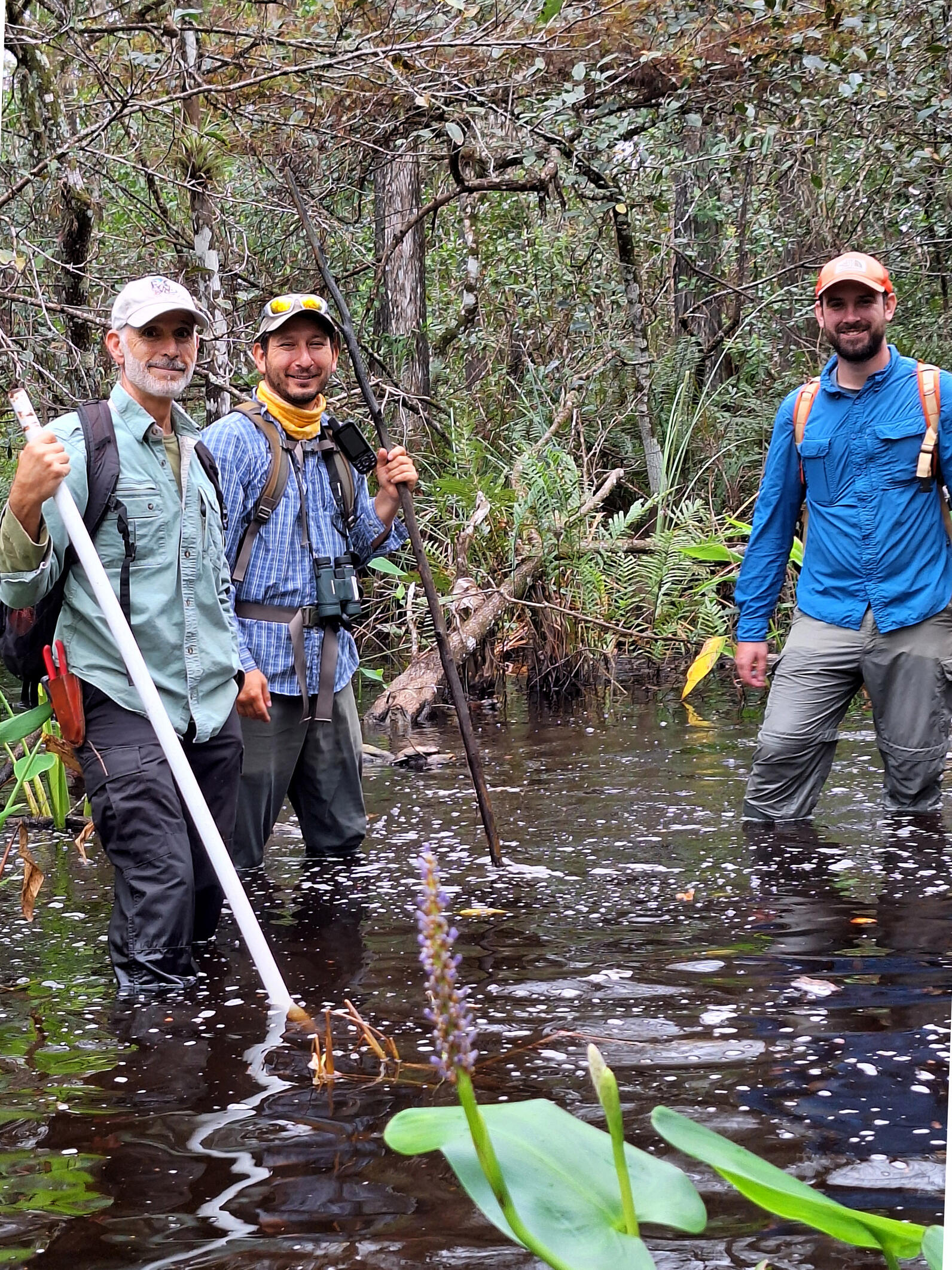 Three men standing in the swamp