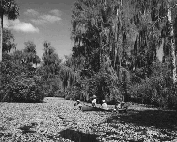 Black-and-white photo of people in a canoe in a swamp.