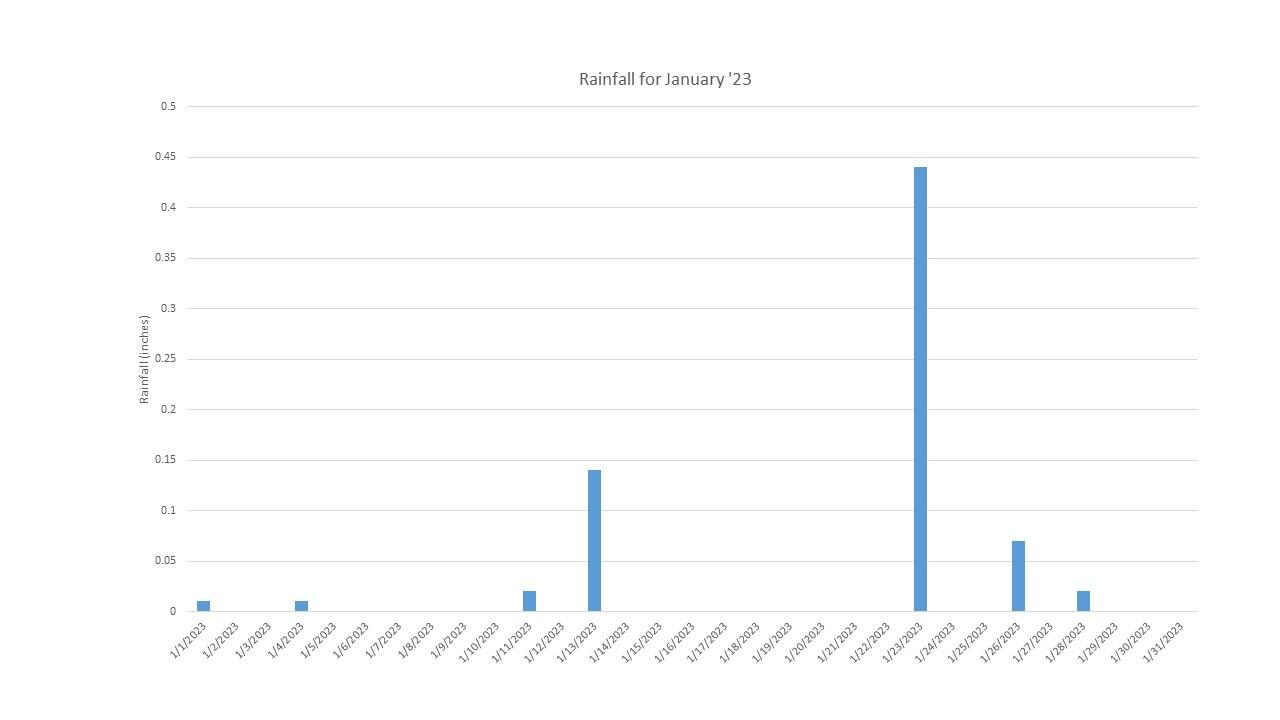 Graph showing rainfall amounts by day