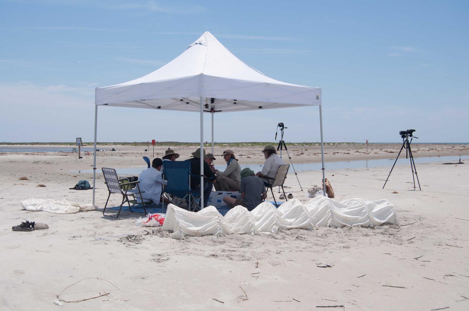 People under a shade tent on a beach with research instruments.