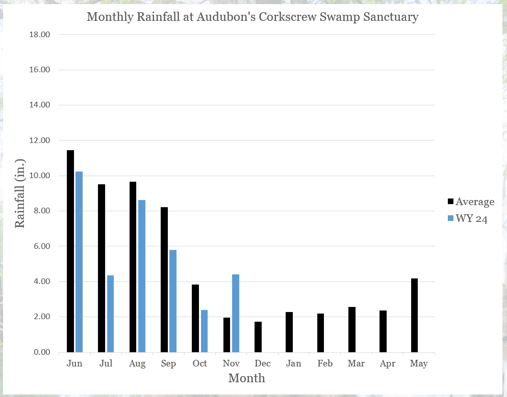 graph showing rainfall amounts so far