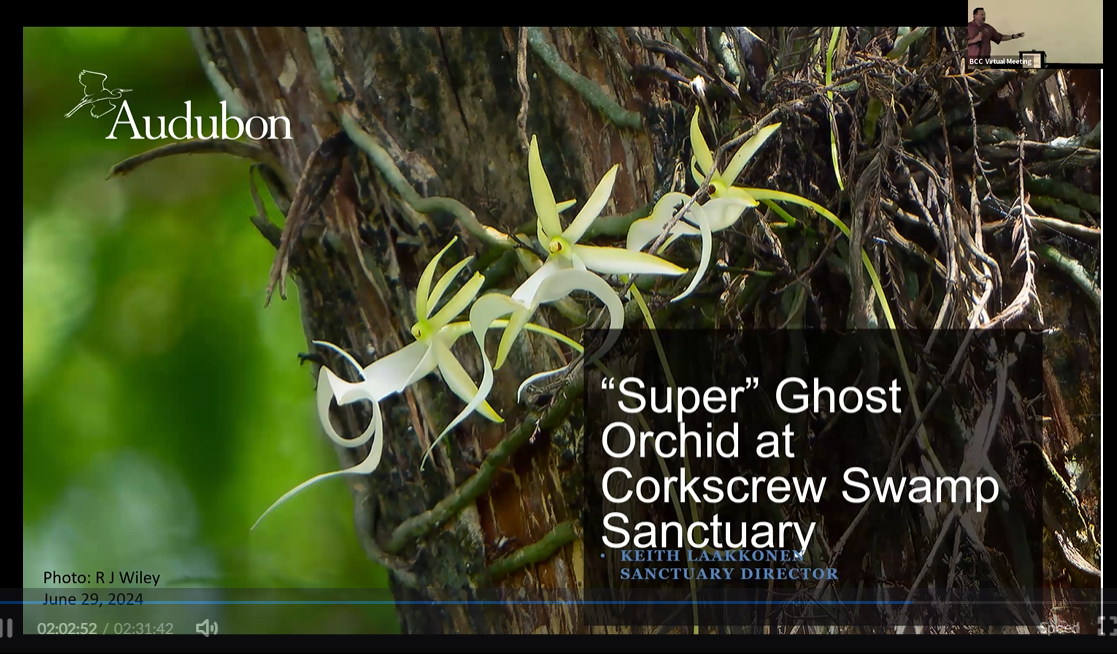 Screen shot of webinar with ghost orchid photo 
