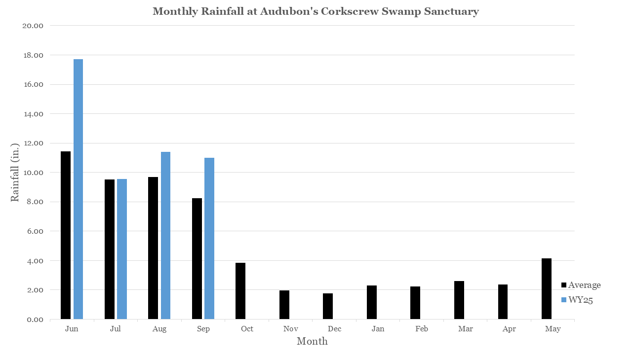 Bar graph showing 2024-25 water year rainfall amounts by month