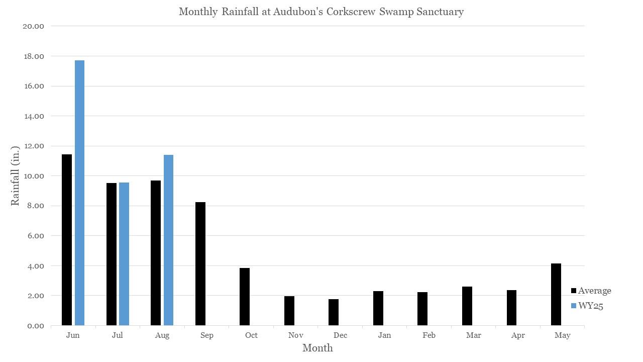 Graph showing vertical bars with monthly rainfall and averages 