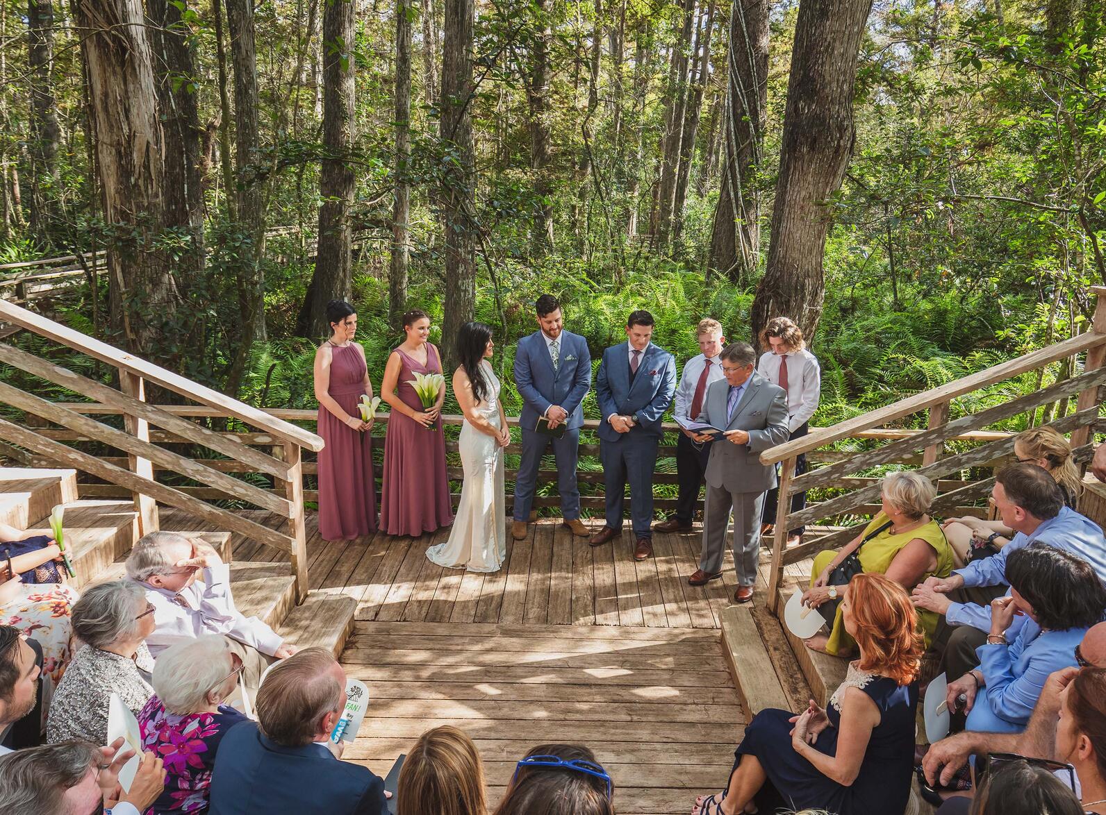 Aerial view of a wedding ceremony in the swamp