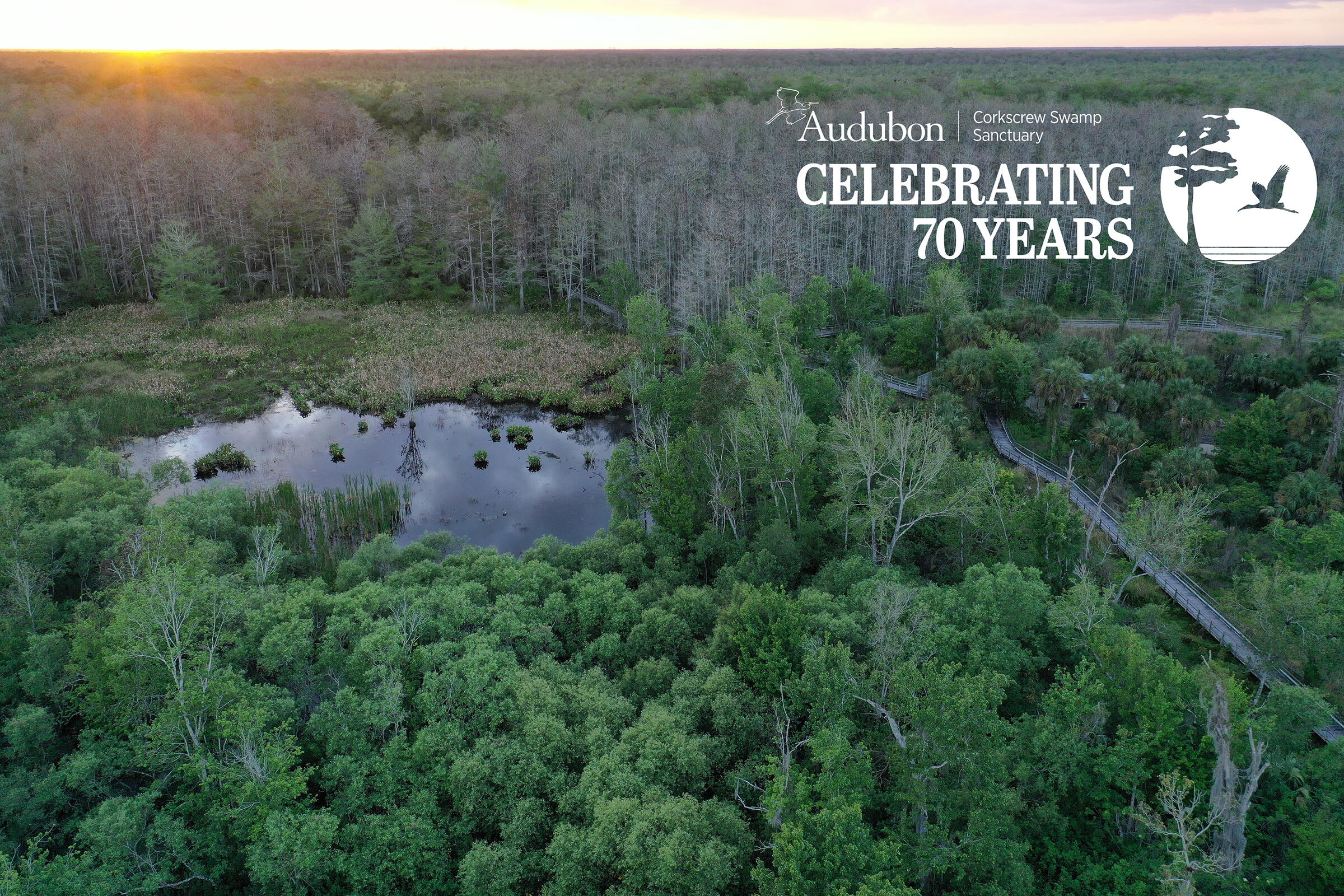 Audubon Corkscrew Swamp Sanctuary   Aerial Bunting House With Logo 3 