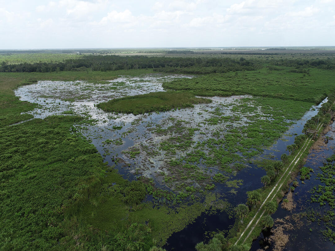 Aerial view of flooded wetland