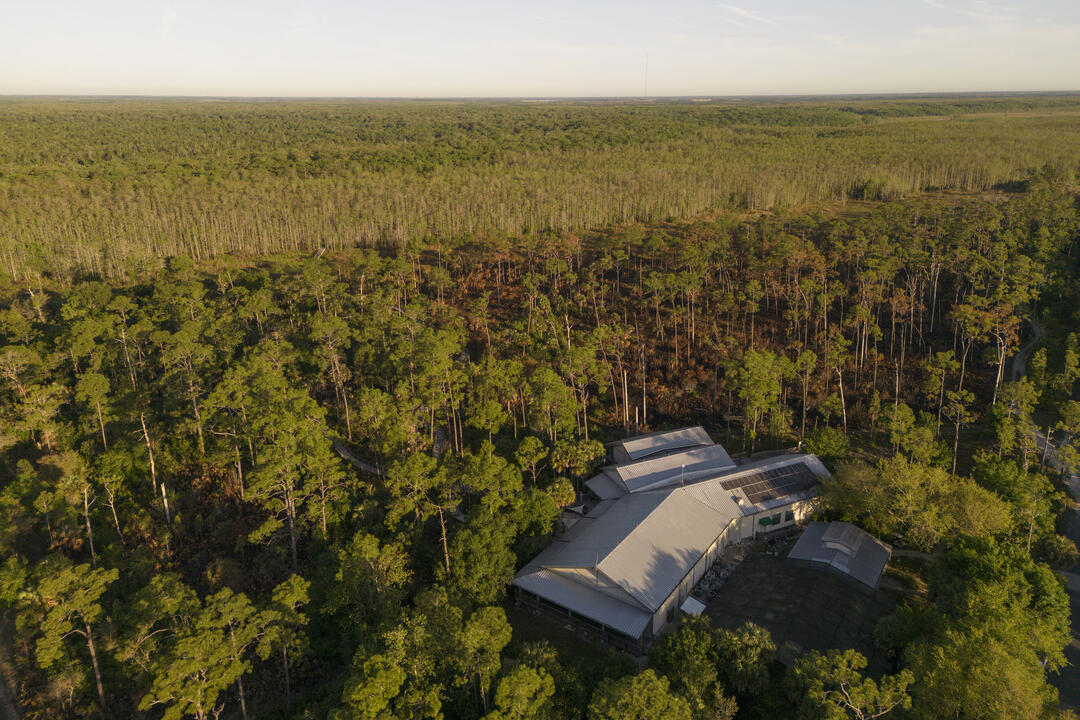 Aerial view of a building surrounded by trees