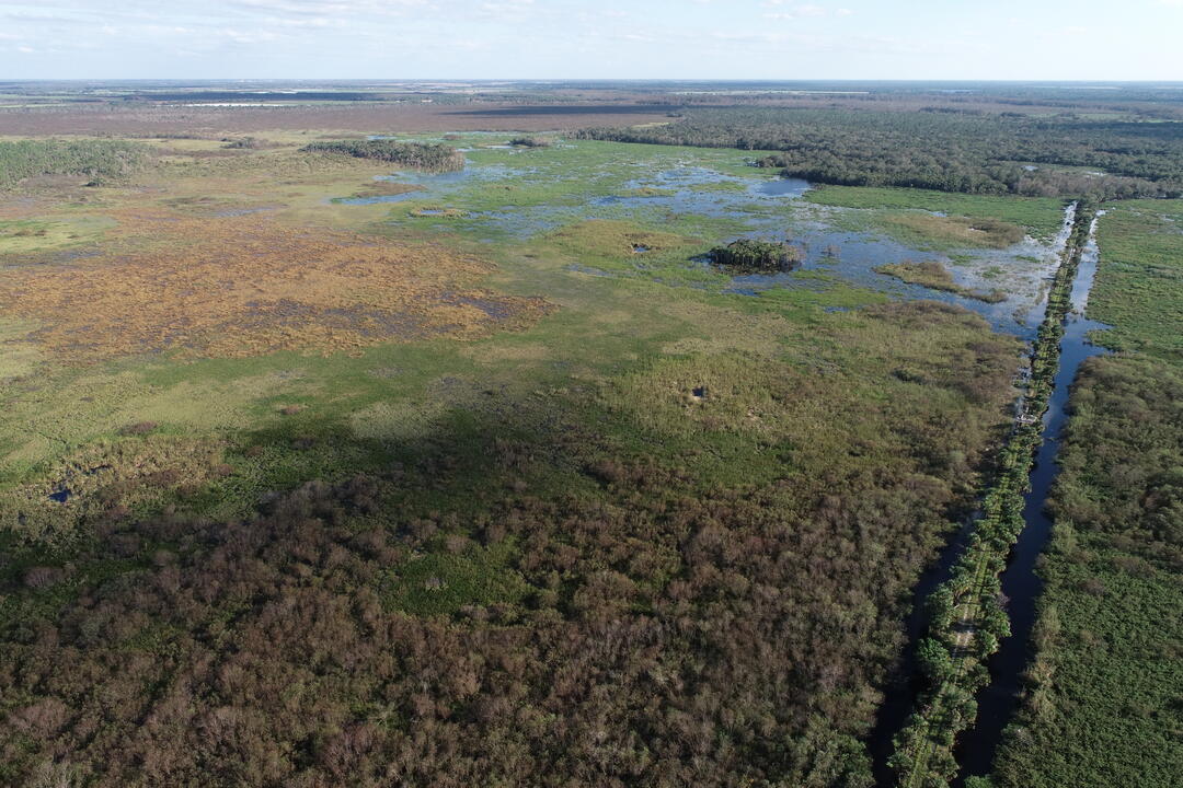 Aerial view of restored wetland