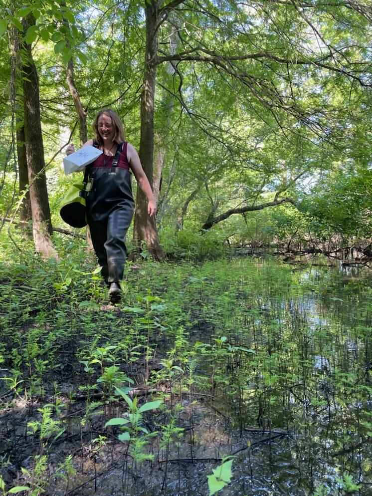 a woman walking in a swamp