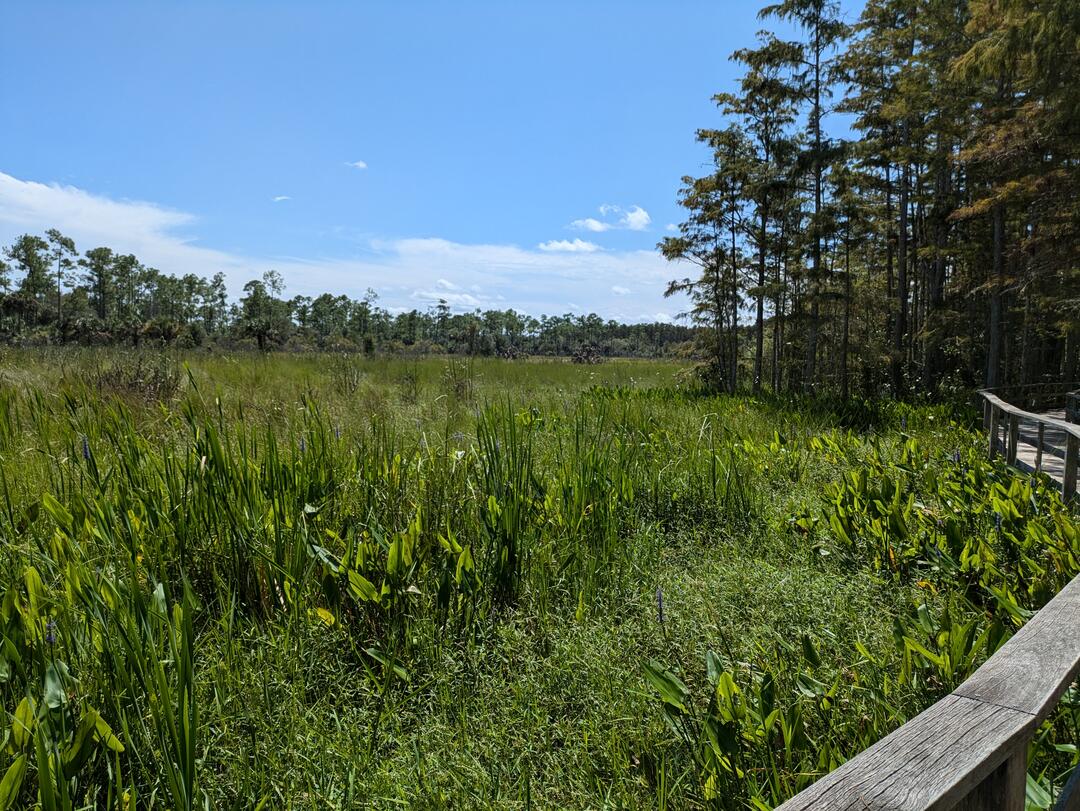 View of the wet prairie with high water